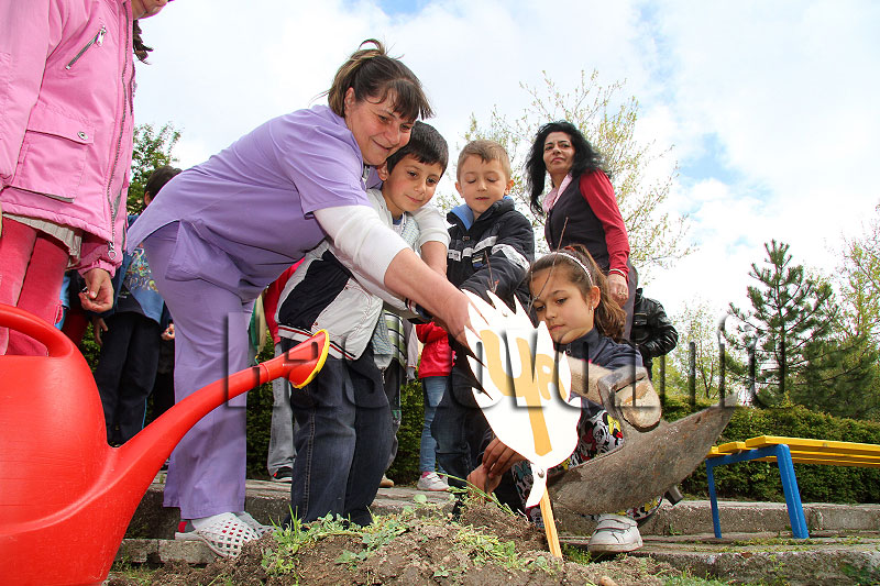 Фиданки Фиданки