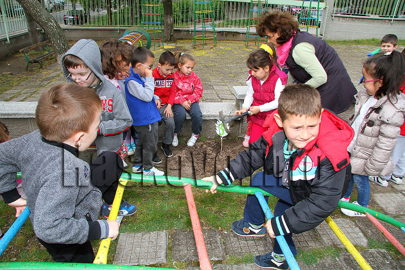 Фиданки Фиданки