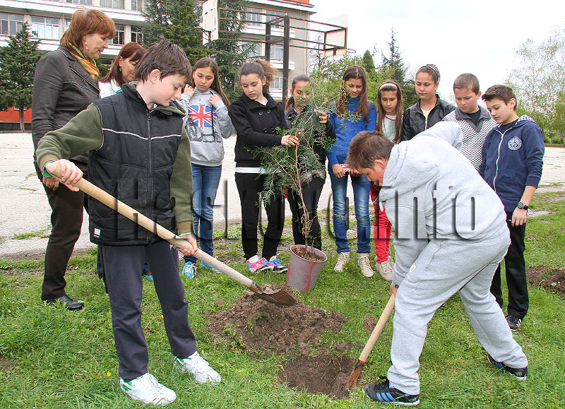 Фиданки Фиданки