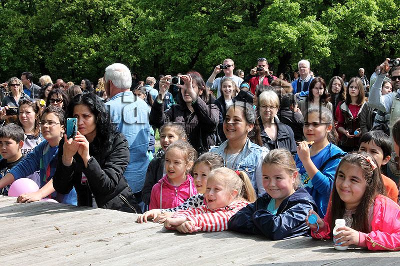 Пикник Пикник