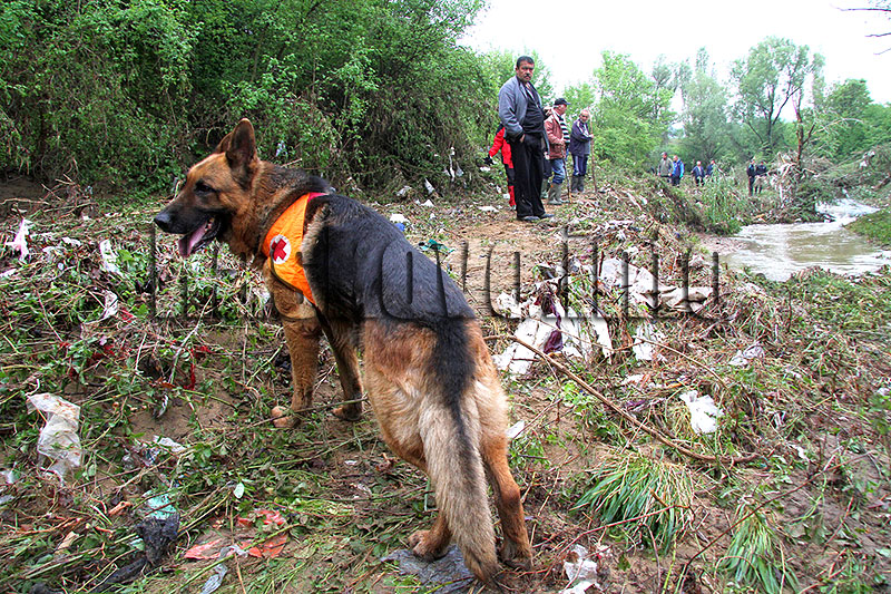 Издирване Издирване