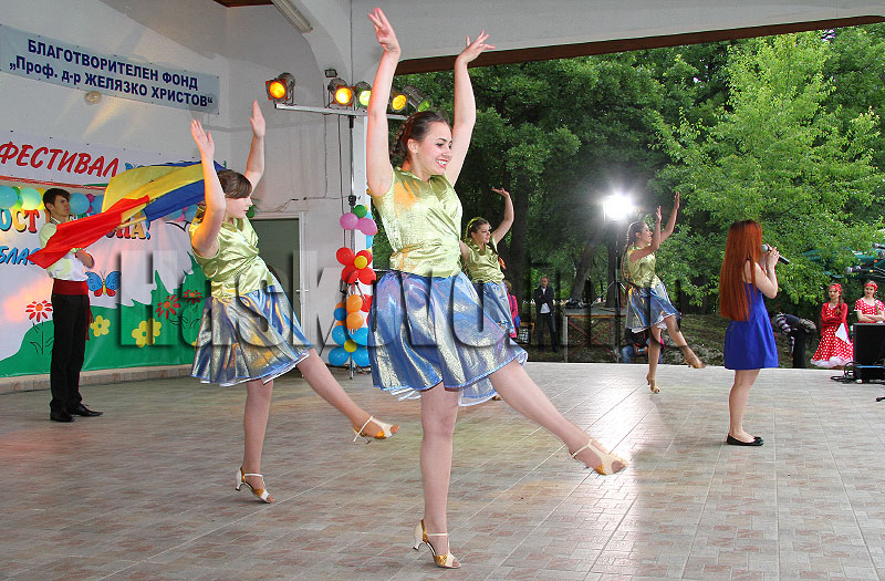 Фестивал Фестивал