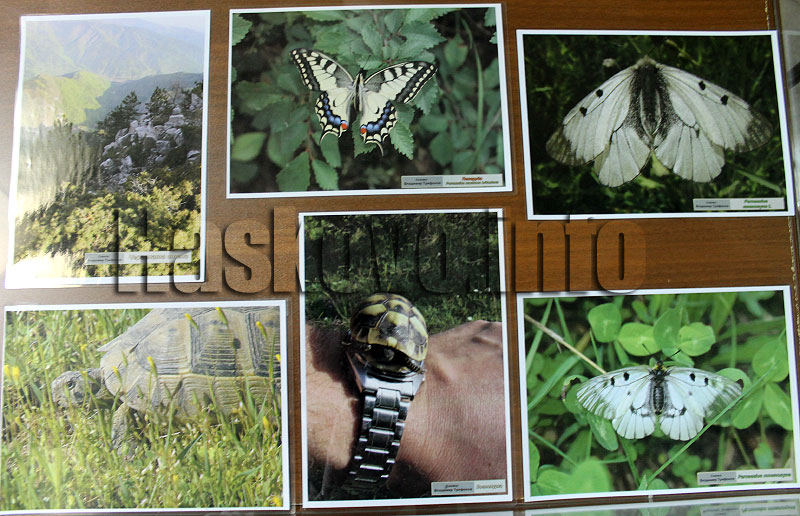 Фотоизложба