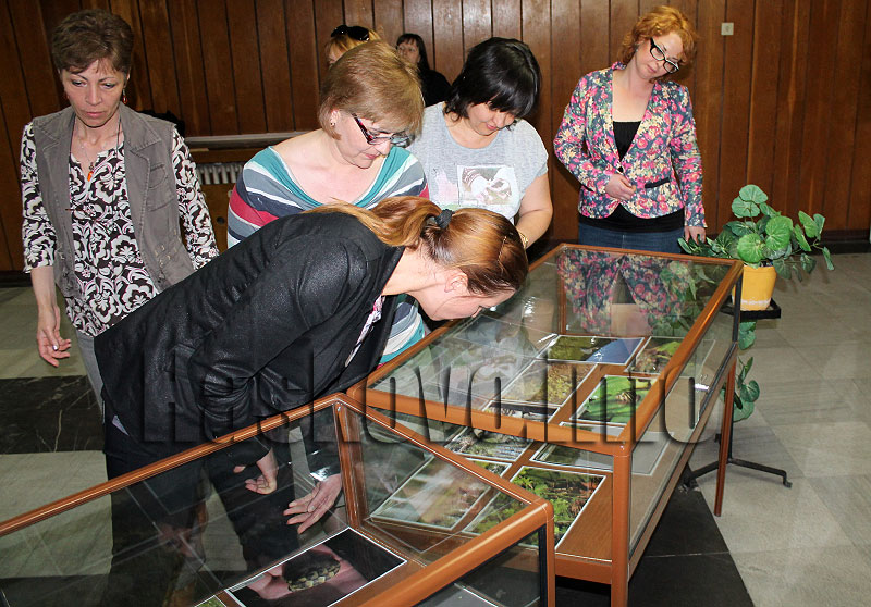 Фотоизложба