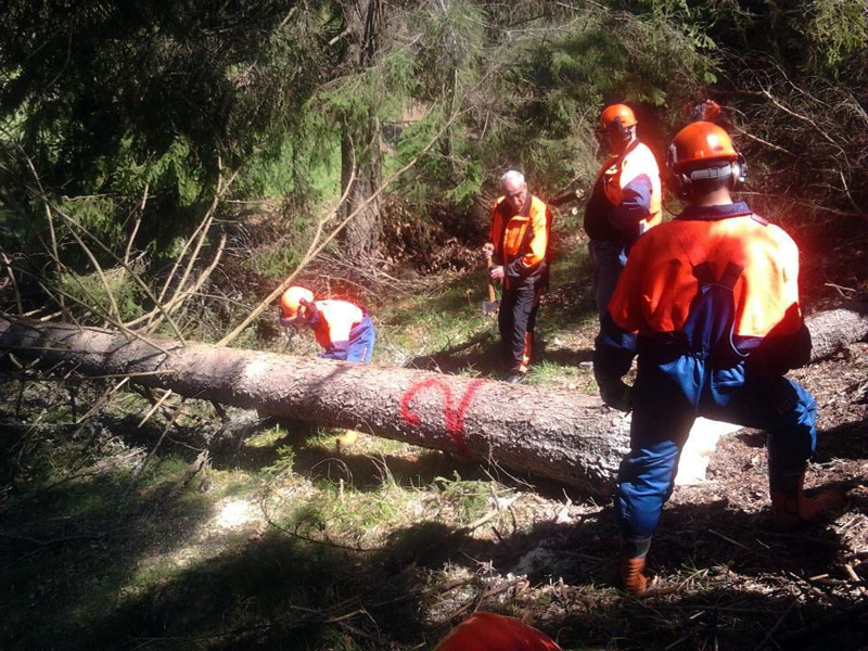 Състезанието Състезанието