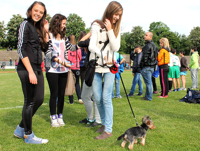 Празник Празник