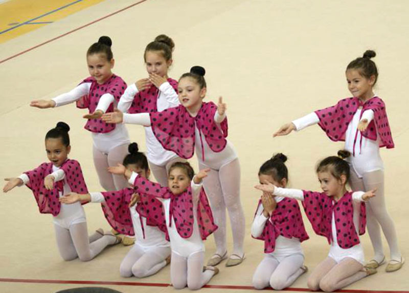 Гимнастички