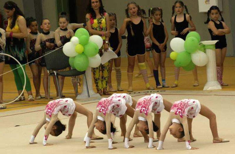 Гимнастички