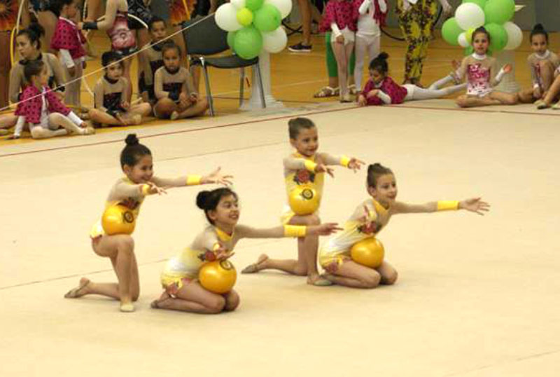 Гимнастички