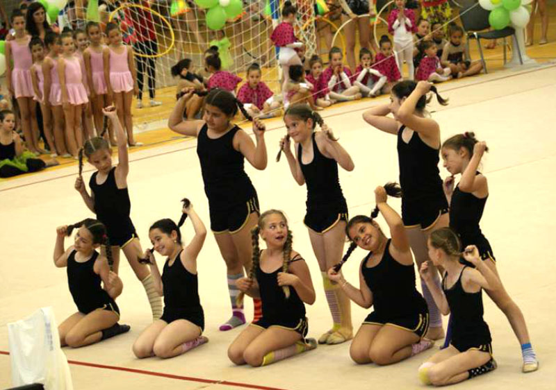 Гимнастички