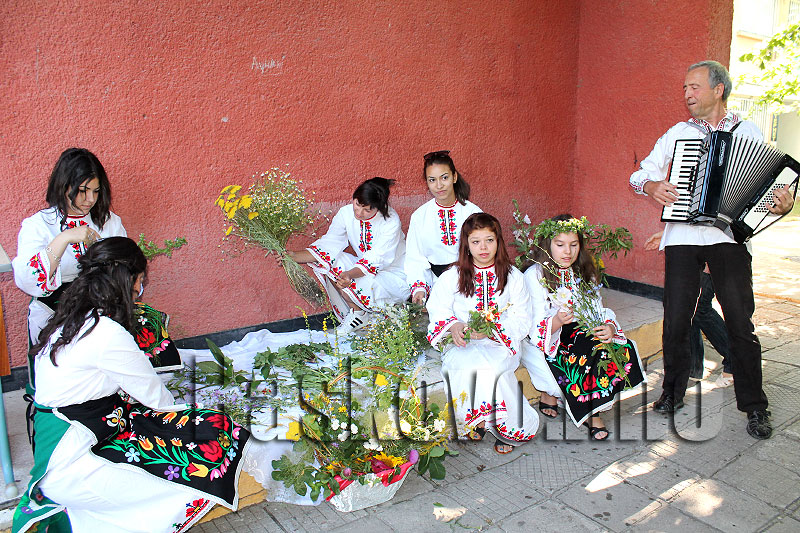 Билки Билки