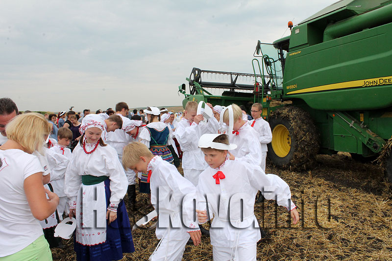 Жътва