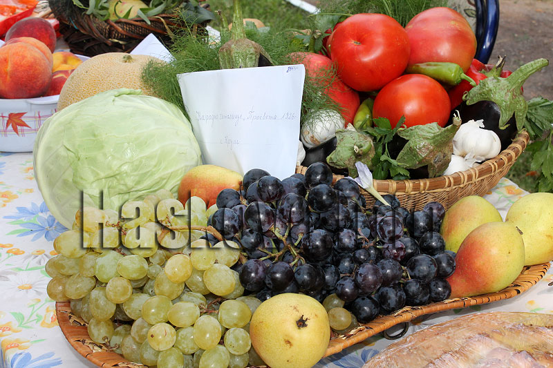 Изложба Изложба