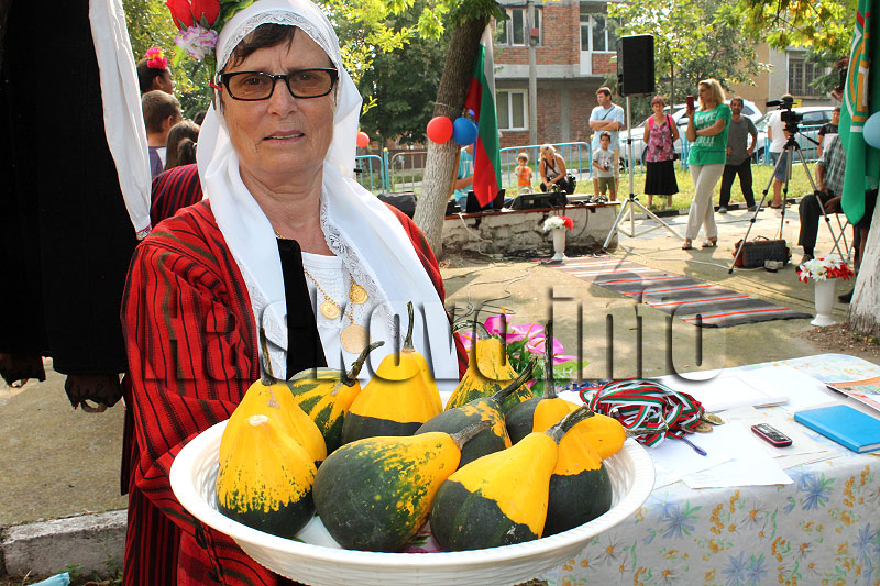 Изложба Изложба