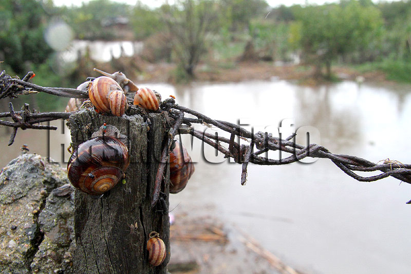 Наводнение