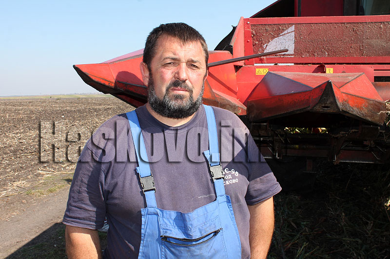 Сорго Сорго