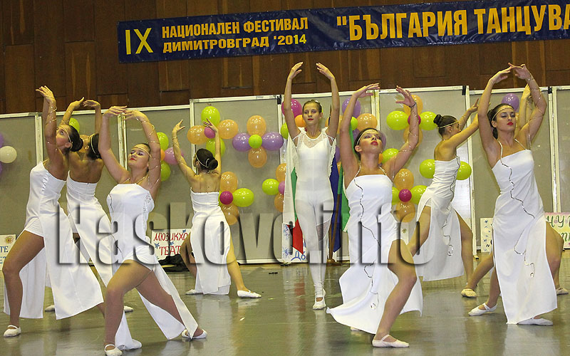 Фестивал Фестивал