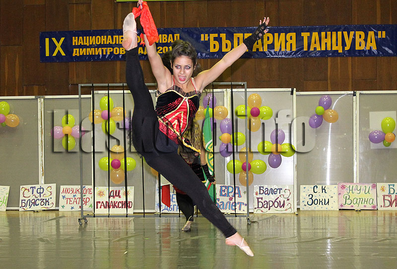 Фестивал Фестивал