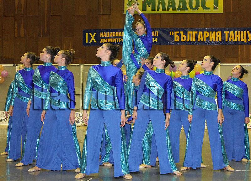 Фестивал Фестивал