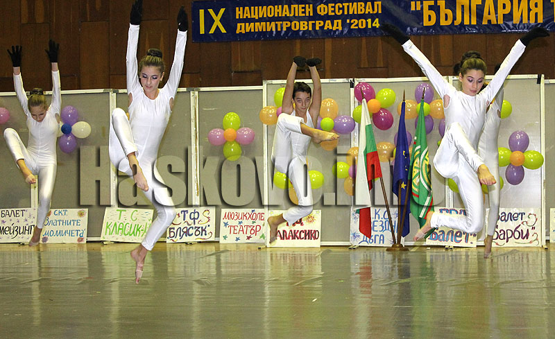 Фестивал Фестивал