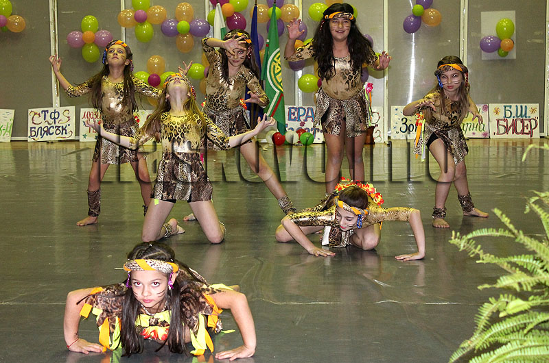 Фестивал Фестивал