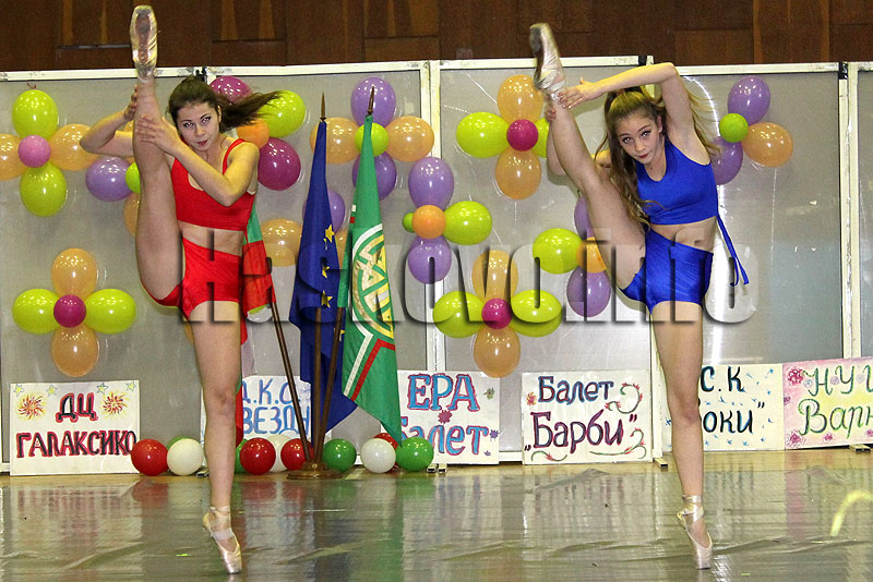 Фестивал Фестивал