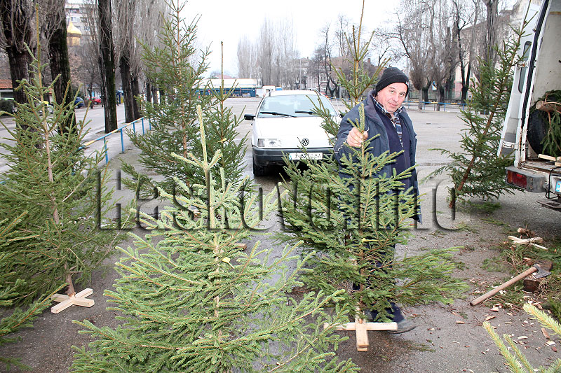 Елхи