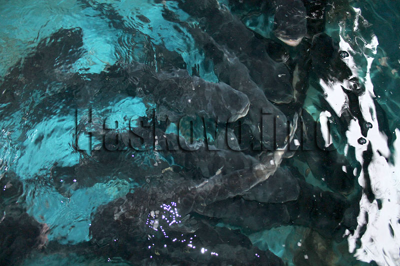 Проверки
