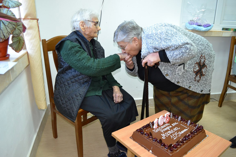 Столетница