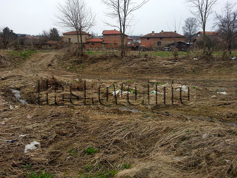 Динево