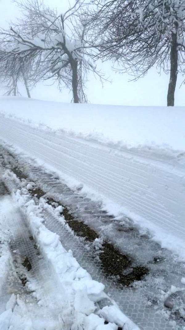 Ивайловград