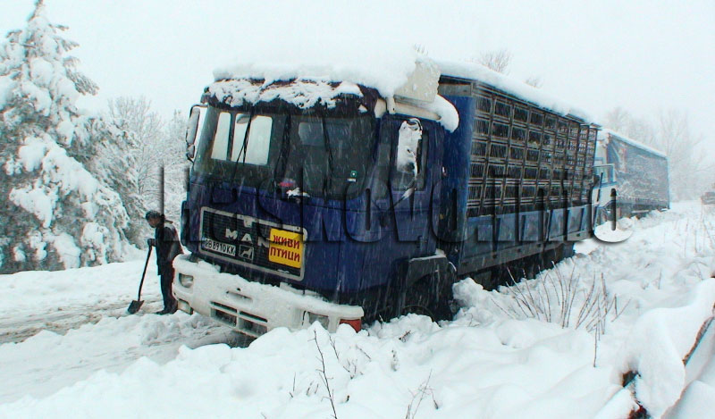 Сняг