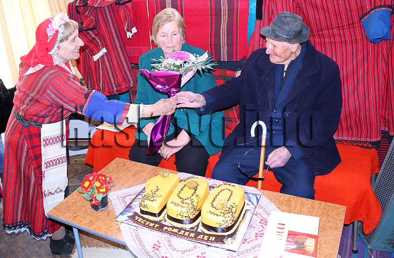 Столетник