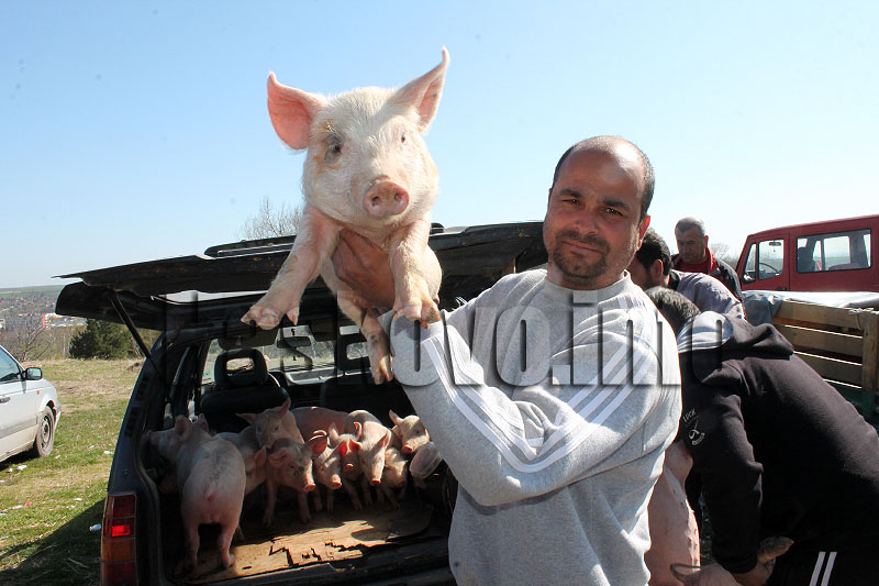 Пазар Пазар