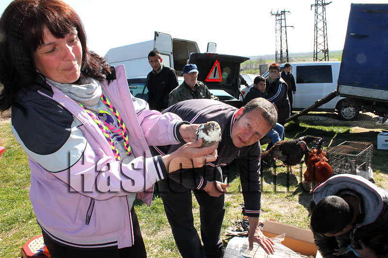 Пазар Пазар