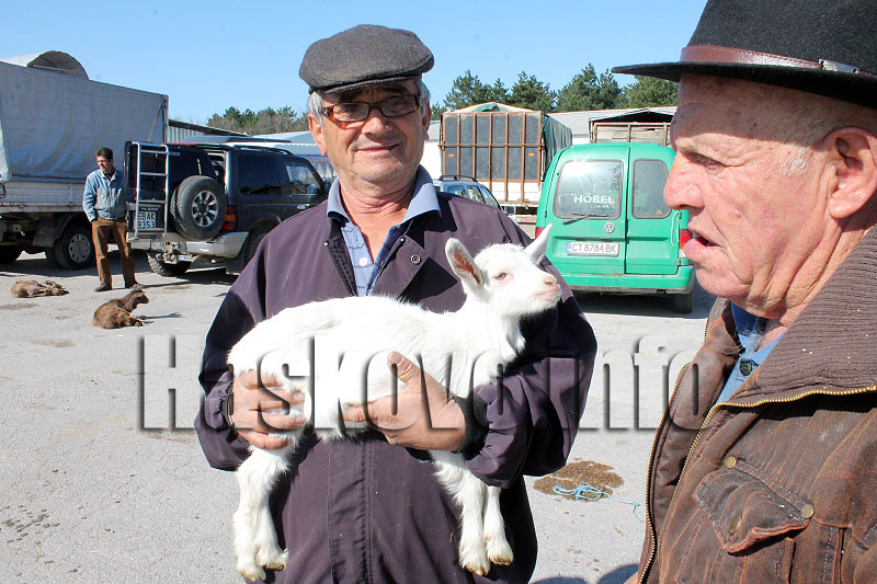 Пазар Пазар