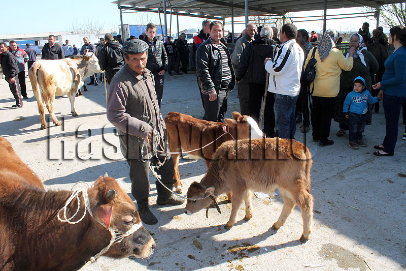 Илюстрация