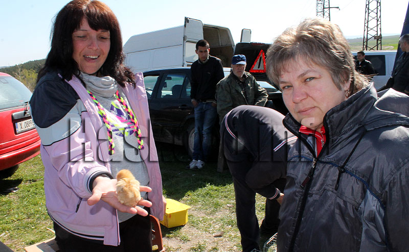 Пазар Пазар