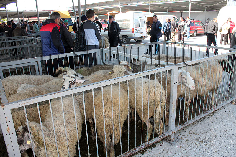 Пазар Пазар