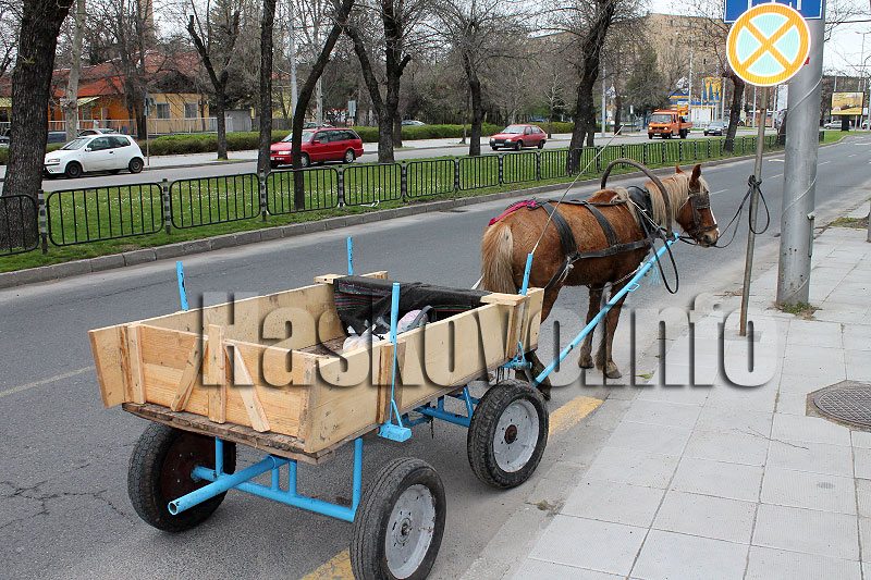 Каруца