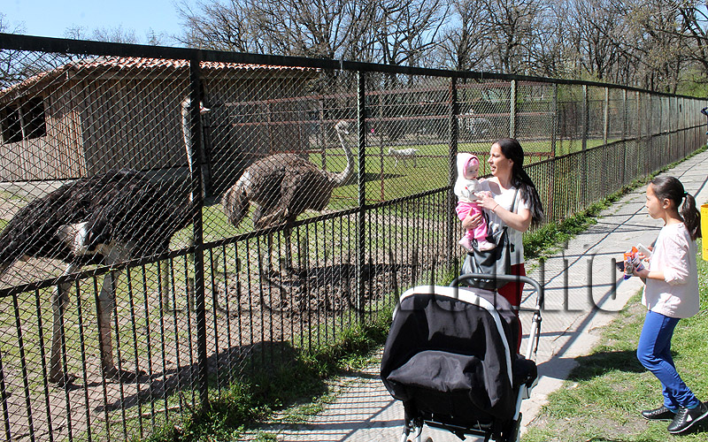 Кенана Кенана