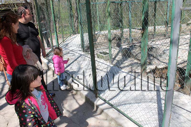 Кенана Кенана