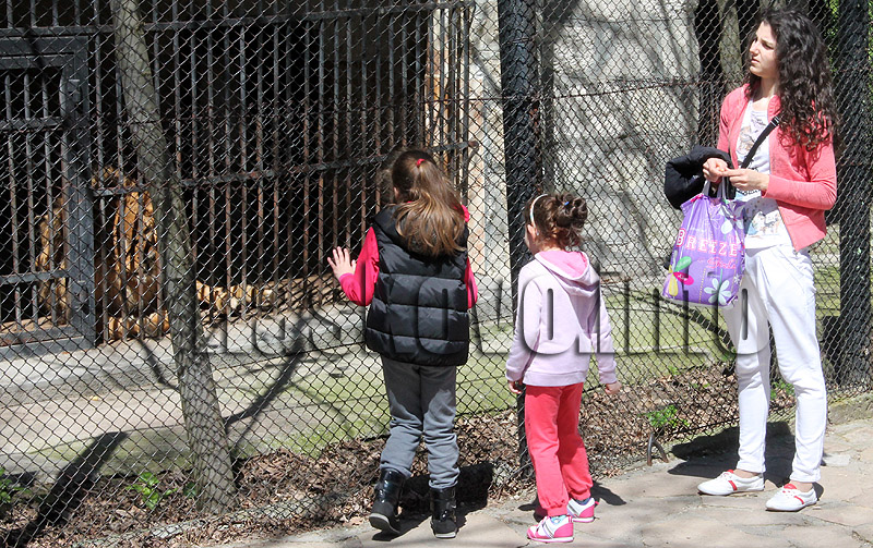 Кенана Кенана