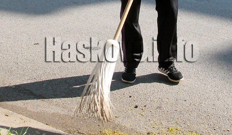 Метли Метли