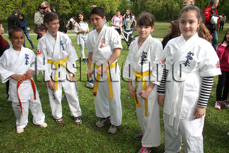 Пикник Пикник