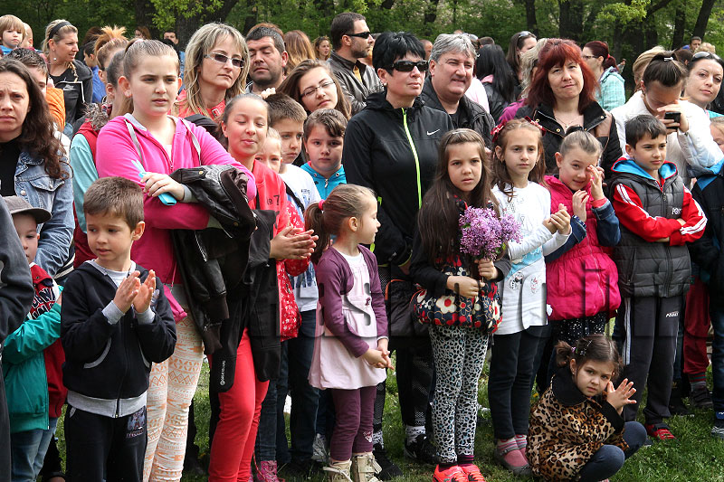 Пикник Пикник