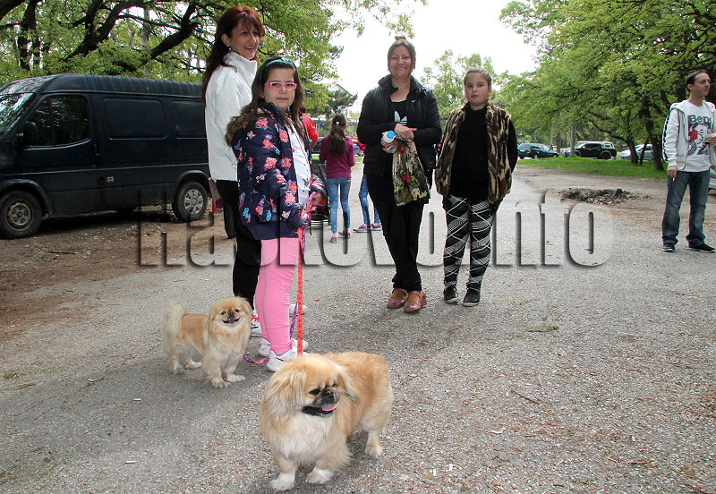 Пикник Пикник