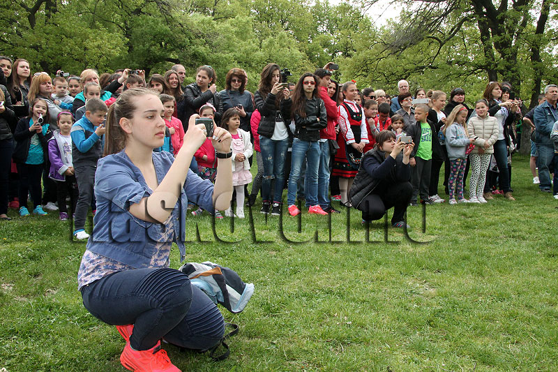 Пикник Пикник