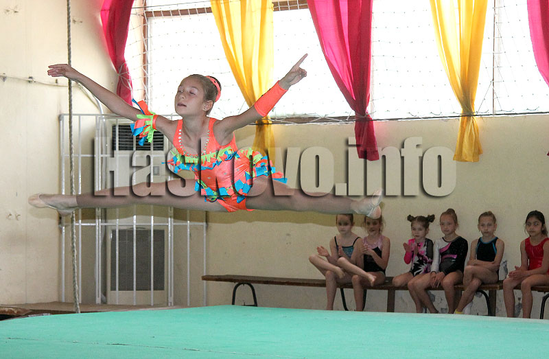 Спорт