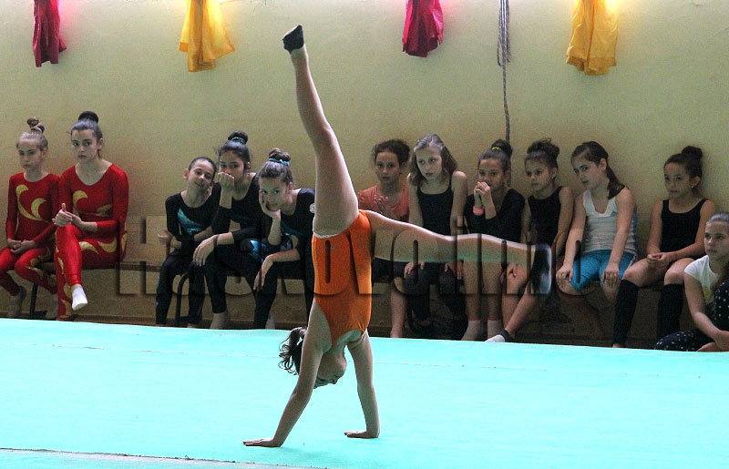 Спорт
